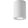 Потолочный светильник MAYTONI ATOM C016CL-01W